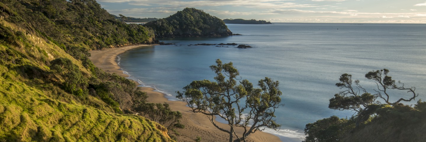 Plongée-Nouvelle-Zélande