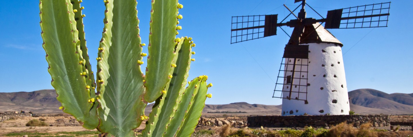 Plongée-Fuerteventura