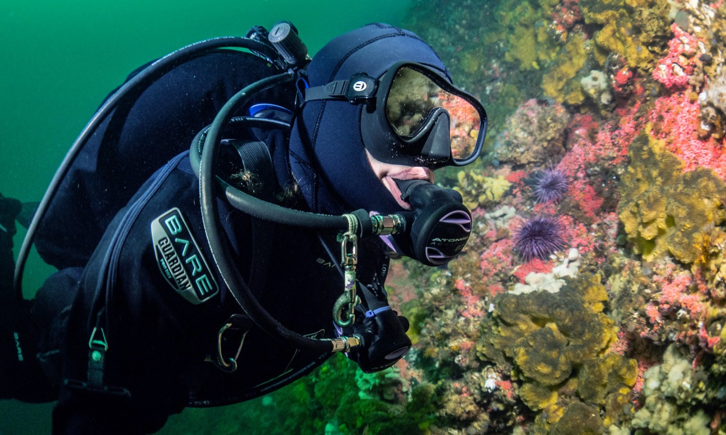 Plongée Campbell River