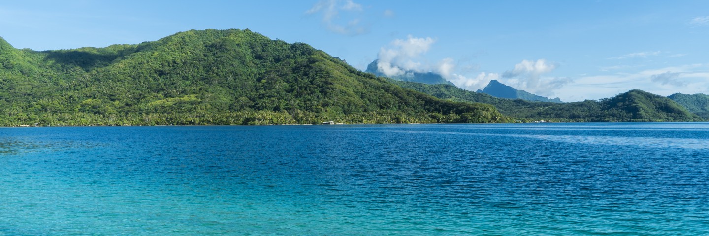 Îles-de-la-Société-de-plongée