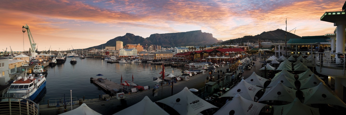 Plongée Western Cape Sardine Run
