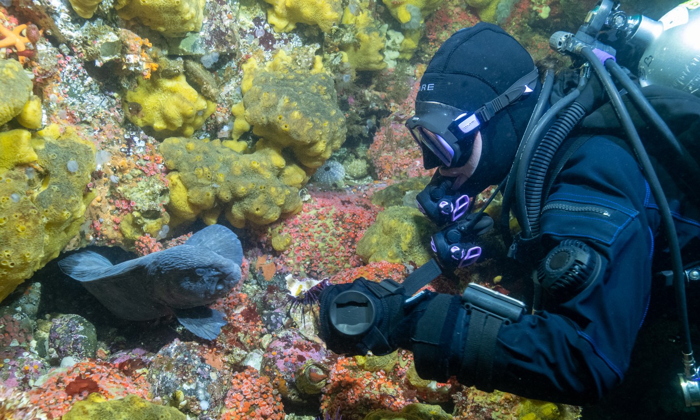 Plongée Campbell River