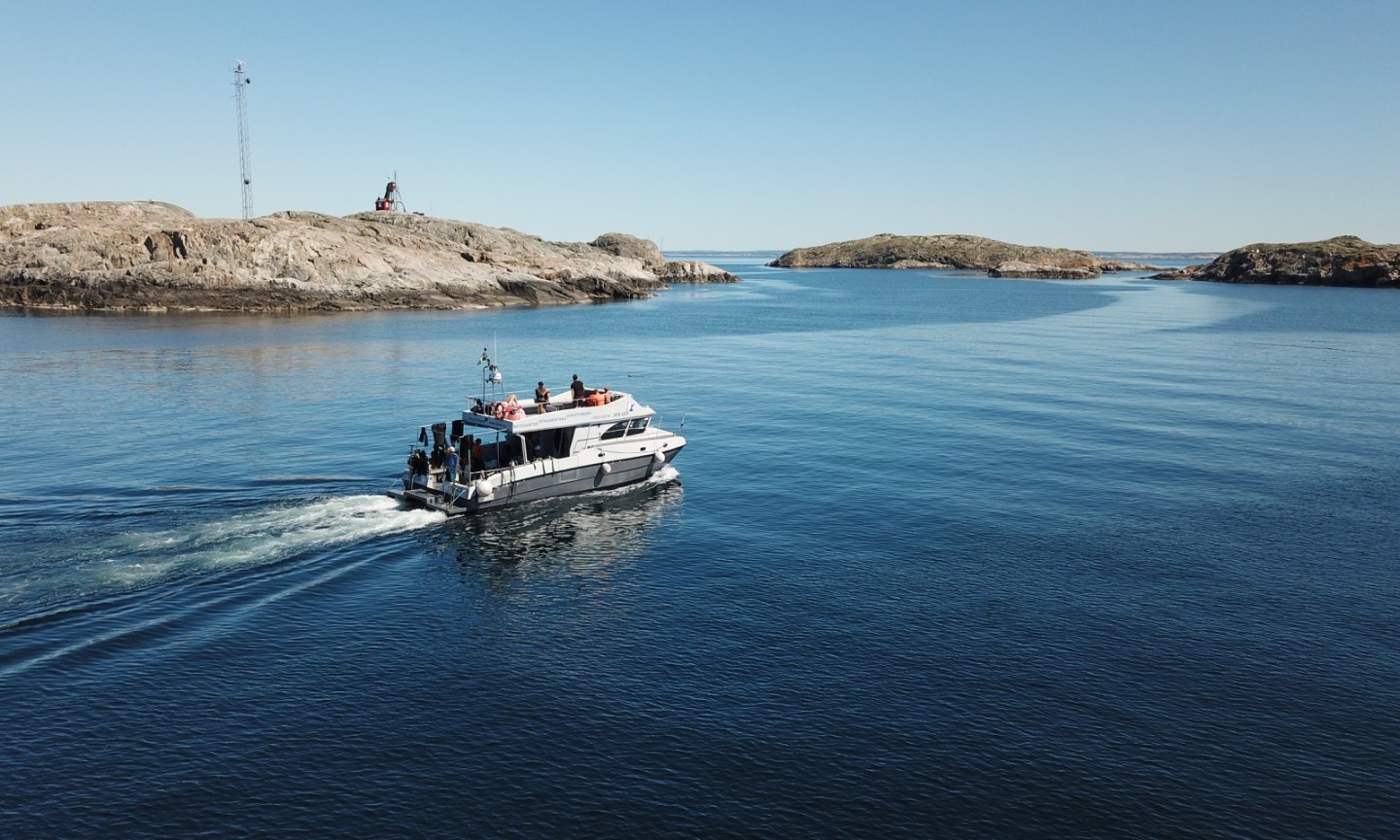 Tauchen Schweden