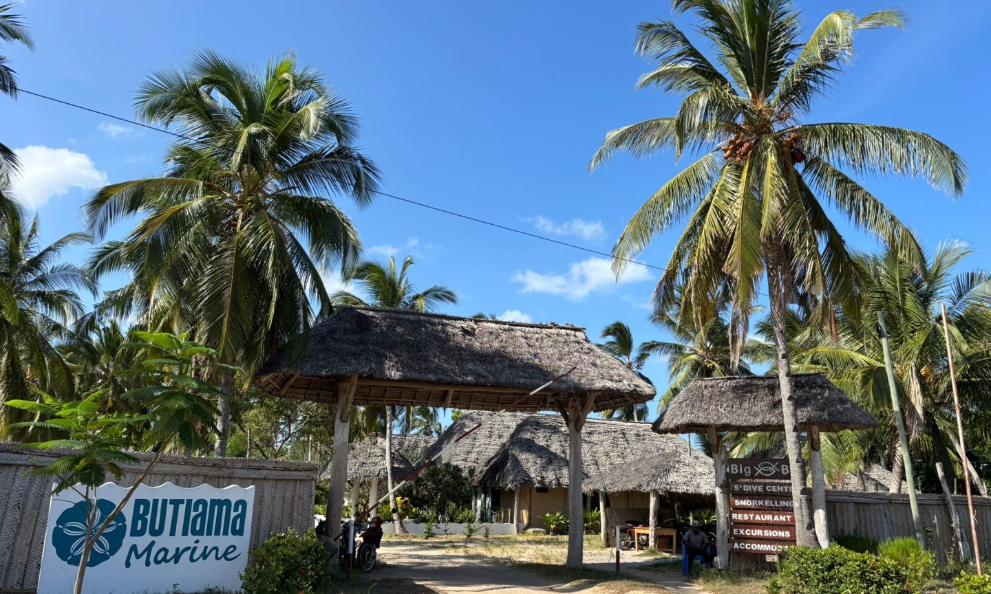 Tauchen Mafia Island