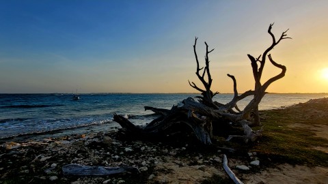 Tauchen Bonaire