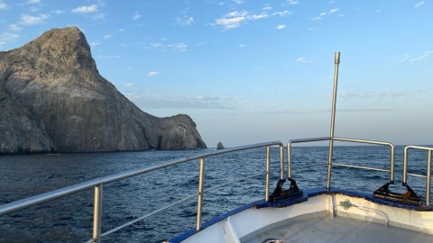Tauchen Malpelo