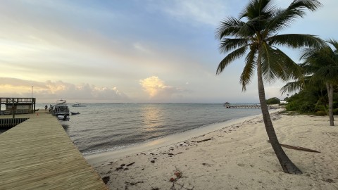 Tauchen Cayman