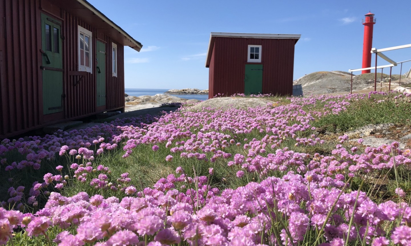 Tauchen Schweden